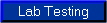 Lab Testing