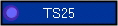 TS25